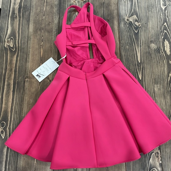 🌟6x Host Pick🌟Pink Rachel Allan Dress - Picture 4 of 8